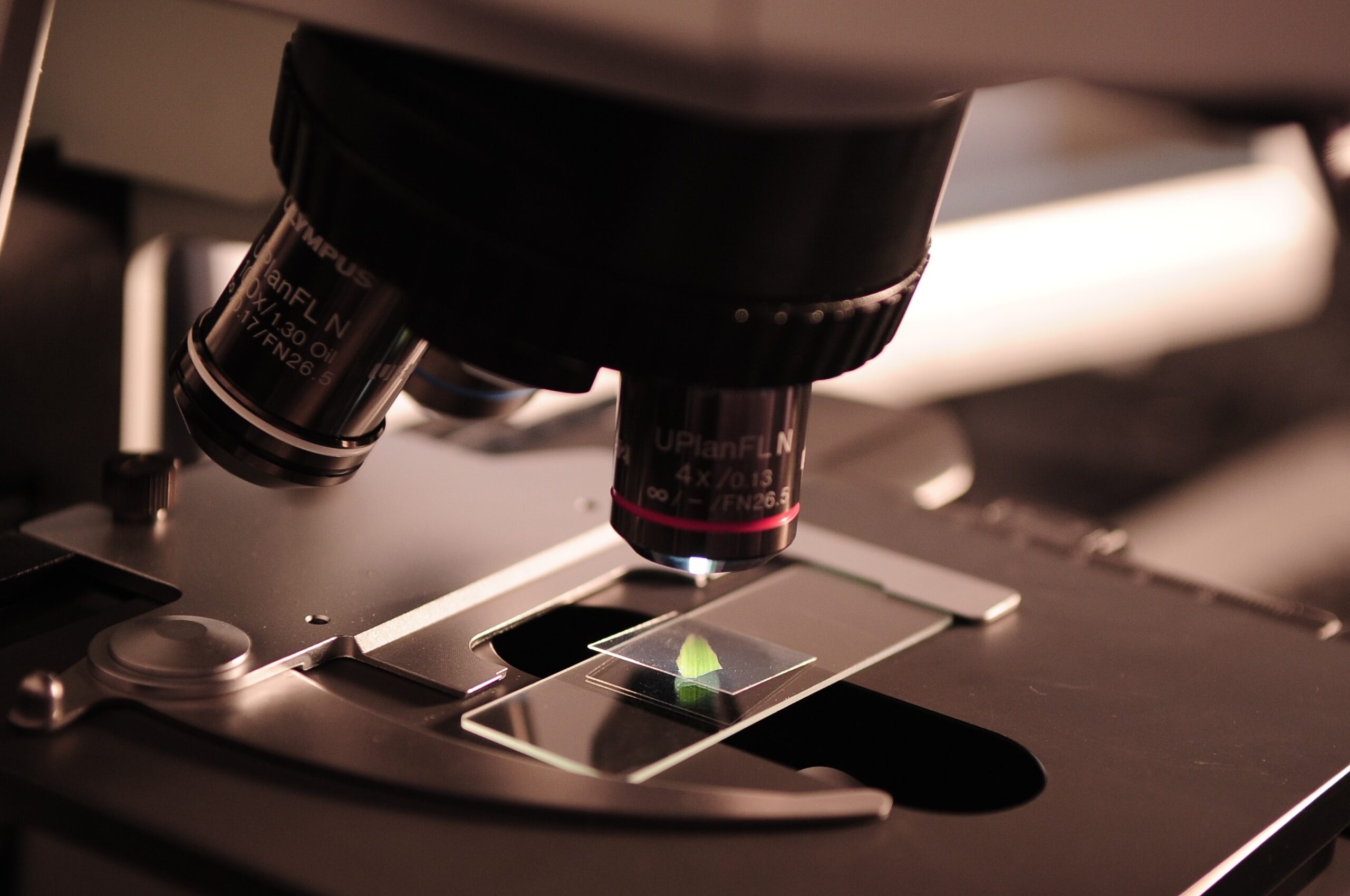 Top challenges Life Sciences organisations face when hiring talent in 2022